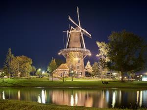 ライデンの画像6