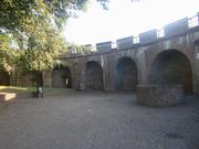 ライデンの画像10