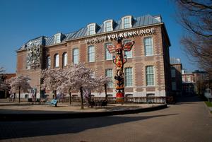 ライデンの画像12