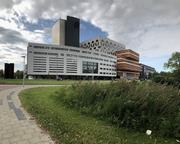 ライデンの画像16