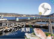 戸石ゆうこうシマアジ・真鯛