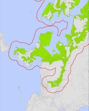 11号区域の画像4