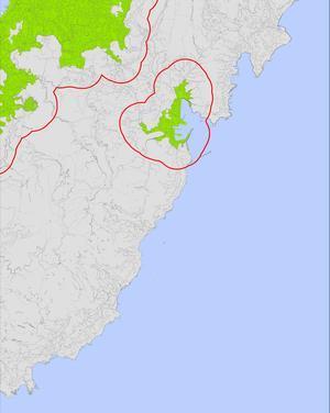 11号区域の画像5