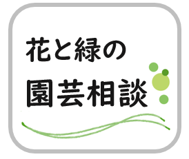 園芸相談
