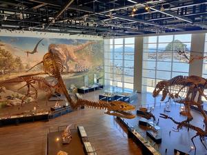 恐竜の時代その1