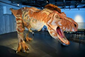 恐竜の時代その2