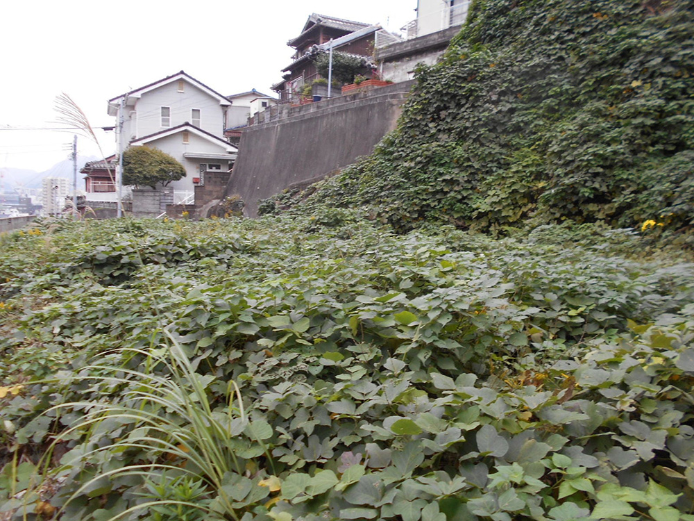 【売買】港の見える高台の土地の画像1