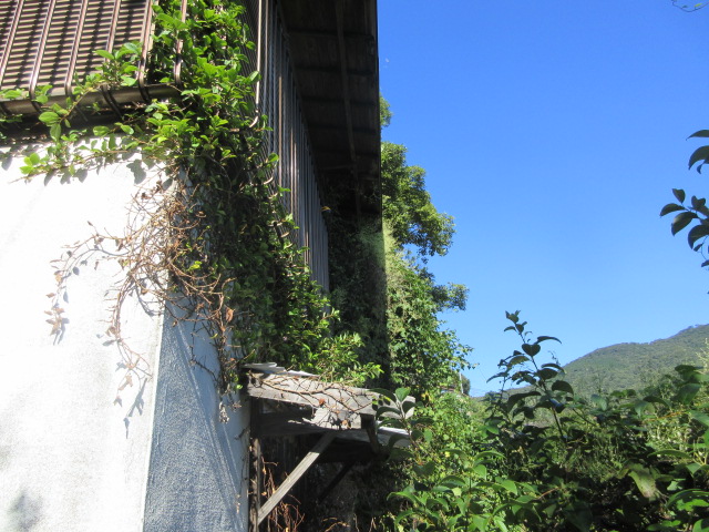 【売買】片淵中学校近くの平家建ての画像3